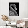 Picture of Flamingo Flame _GroupedProduct_Rectangle_Portrait_Photography _GroupedProduct_Rectangle_Portrait_Unframed_Print_Only_