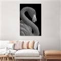Picture of Flamingo Flame _GroupedProduct_Rectangle_Portrait_Photography _GroupedProduct_Rectangle_Portrait_Unframed_Print_Only_