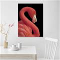 Picture of Flamingo Flame _GroupedProduct_Rectangle_Portrait_Photography _GroupedProduct_Rectangle_Portrait_Unframed_Print_Only_