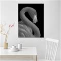 Picture of Flamingo Flame _GroupedProduct_Rectangle_Portrait_Photography _GroupedProduct_Rectangle_Portrait_Unframed_Print_Only_