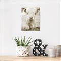 Picture of Furry Cow _GroupedProduct_Rectangle_Portrait_Photography _GroupedProduct_Rectangle_Portrait_Unframed_Print_Only_