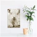 Picture of Furry Cow _GroupedProduct_Rectangle_Portrait_Photography _GroupedProduct_Rectangle_Portrait_Unframed_Print_Only_