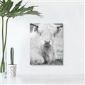 Picture of Furry Cow _GroupedProduct_Rectangle_Portrait_Photography _GroupedProduct_Rectangle_Portrait_Unframed_Print_Only_