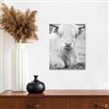 Picture of Furry Cow _GroupedProduct_Rectangle_Portrait_Photography _GroupedProduct_Rectangle_Portrait_Unframed_Print_Only_
