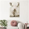 Picture of Furry Cow _GroupedProduct_Rectangle_Portrait_Photography _GroupedProduct_Rectangle_Portrait_Unframed_Print_Only_