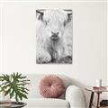 Picture of Furry Cow _GroupedProduct_Rectangle_Portrait_Photography _GroupedProduct_Rectangle_Portrait_Unframed_Print_Only_