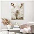 Picture of Furry Cow _GroupedProduct_Rectangle_Portrait_Photography _GroupedProduct_Rectangle_Portrait_Unframed_Print_Only_