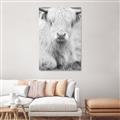 Picture of Furry Cow _GroupedProduct_Rectangle_Portrait_Photography _GroupedProduct_Rectangle_Portrait_Unframed_Print_Only_
