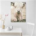 Picture of Furry Cow _GroupedProduct_Rectangle_Portrait_Photography _GroupedProduct_Rectangle_Portrait_Unframed_Print_Only_