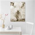 Picture of Furry Cow _GroupedProduct_Rectangle_Portrait_Photography _GroupedProduct_Rectangle_Portrait_Unframed_Print_Only_