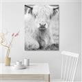 Picture of Furry Cow _GroupedProduct_Rectangle_Portrait_Photography _GroupedProduct_Rectangle_Portrait_Unframed_Print_Only_