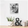 Picture of Giraffe Pals  _GroupedProduct_Rectangle_Portrait_Photography _GroupedProduct_Rectangle_Portrait_Unframed_Print_Only_