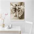Picture of Giraffe Pals  _GroupedProduct_Rectangle_Portrait_Photography _GroupedProduct_Rectangle_Portrait_Unframed_Print_Only_