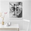 Picture of Giraffe Pals  _GroupedProduct_Rectangle_Portrait_Photography _GroupedProduct_Rectangle_Portrait_Unframed_Print_Only_