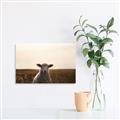Picture of Grazing Sheep  _GroupedProduct_Rectangle_Landscape_Photography _GroupedProduct_Rectangle_Landscape_Unframed_Print_Only_