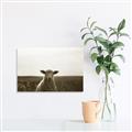 Picture of Grazing Sheep  _GroupedProduct_Rectangle_Landscape_Photography _GroupedProduct_Rectangle_Landscape_Unframed_Print_Only_
