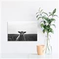 Picture of Grazing Sheep  _GroupedProduct_Rectangle_Landscape_Photography _GroupedProduct_Rectangle_Landscape_Unframed_Print_Only_