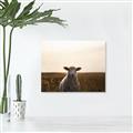 Picture of Grazing Sheep  _GroupedProduct_Rectangle_Landscape_Photography _GroupedProduct_Rectangle_Landscape_Unframed_Print_Only_