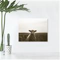 Picture of Grazing Sheep  _GroupedProduct_Rectangle_Landscape_Photography _GroupedProduct_Rectangle_Landscape_Unframed_Print_Only_
