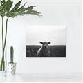 Picture of Grazing Sheep  _GroupedProduct_Rectangle_Landscape_Photography _GroupedProduct_Rectangle_Landscape_Unframed_Print_Only_