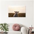 Picture of Grazing Sheep  _GroupedProduct_Rectangle_Landscape_Photography _GroupedProduct_Rectangle_Landscape_Unframed_Print_Only_