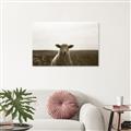 Picture of Grazing Sheep  _GroupedProduct_Rectangle_Landscape_Photography _GroupedProduct_Rectangle_Landscape_Unframed_Print_Only_
