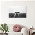 Picture of Grazing Sheep  _GroupedProduct_Rectangle_Landscape_Photography _GroupedProduct_Rectangle_Landscape_Unframed_Print_Only_