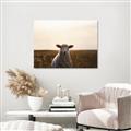 Picture of Grazing Sheep  _GroupedProduct_Rectangle_Landscape_Photography _GroupedProduct_Rectangle_Landscape_Unframed_Print_Only_