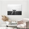 Picture of Grazing Sheep  _GroupedProduct_Rectangle_Landscape_Photography _GroupedProduct_Rectangle_Landscape_Unframed_Print_Only_