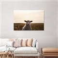 Picture of Grazing Sheep  _GroupedProduct_Rectangle_Landscape_Photography _GroupedProduct_Rectangle_Landscape_Unframed_Print_Only_