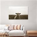 Picture of Grazing Sheep  _GroupedProduct_Rectangle_Landscape_Photography _GroupedProduct_Rectangle_Landscape_Unframed_Print_Only_