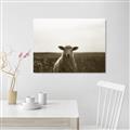 Picture of Grazing Sheep  _GroupedProduct_Rectangle_Landscape_Photography _GroupedProduct_Rectangle_Landscape_Unframed_Print_Only_