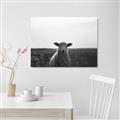 Picture of Grazing Sheep  _GroupedProduct_Rectangle_Landscape_Photography _GroupedProduct_Rectangle_Landscape_Unframed_Print_Only_
