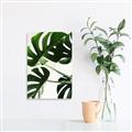 Picture of Green Palms _GroupedProduct_Rectangle_Portrait_Photography _GroupedProduct_Rectangle_Portrait_Unframed_Print_Only_
