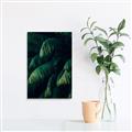 Picture of Greenleaf I _GroupedProduct_Rectangle_Portrait_Photography _GroupedProduct_Rectangle_Portrait_Unframed_Print_Only_