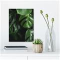 Picture of Greenleaf II _GroupedProduct_Rectangle_Portrait_Photography _GroupedProduct_Rectangle_Portrait_Unframed_Print_Only_