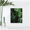Picture of Greenleaf II _GroupedProduct_Rectangle_Portrait_Photography _GroupedProduct_Rectangle_Portrait_Unframed_Print_Only_