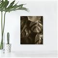Picture of Greenleaf II _GroupedProduct_Rectangle_Portrait_Photography _GroupedProduct_Rectangle_Portrait_Unframed_Print_Only_