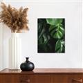 Picture of Greenleaf II _GroupedProduct_Rectangle_Portrait_Photography _GroupedProduct_Rectangle_Portrait_Unframed_Print_Only_
