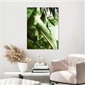 Picture of Greenleaf III _GroupedProduct_Rectangle_Portrait_Photography _GroupedProduct_Rectangle_Portrait_Unframed_Print_Only_