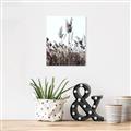 Picture of In the Fields _GroupedProduct_Rectangle_Portrait_Photography _GroupedProduct_Rectangle_Portrait_Unframed_Print_Only_
