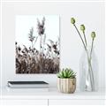 Picture of In the Fields _GroupedProduct_Rectangle_Portrait_Photography _GroupedProduct_Rectangle_Portrait_Unframed_Print_Only_
