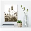 Picture of In the Fields _GroupedProduct_Rectangle_Portrait_Photography _GroupedProduct_Rectangle_Portrait_Unframed_Print_Only_