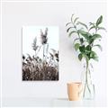 Picture of In the Fields _GroupedProduct_Rectangle_Portrait_Photography _GroupedProduct_Rectangle_Portrait_Unframed_Print_Only_