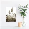 Picture of In the Fields _GroupedProduct_Rectangle_Portrait_Photography _GroupedProduct_Rectangle_Portrait_Unframed_Print_Only_