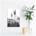 Picture of In the Fields _GroupedProduct_Rectangle_Portrait_Photography _GroupedProduct_Rectangle_Portrait_Unframed_Print_Only_