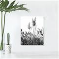 Picture of In the Fields _GroupedProduct_Rectangle_Portrait_Photography _GroupedProduct_Rectangle_Portrait_Unframed_Print_Only_