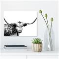 Picture of Jackson, The Bull  _GroupedProduct_Rectangle_Landscape_Photography _GroupedProduct_Rectangle_Landscape_Unframed_Print_Only_