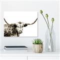 Picture of Jackson, The Bull  _GroupedProduct_Rectangle_Landscape_Photography _GroupedProduct_Rectangle_Landscape_Unframed_Print_Only_