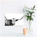Picture of Jackson, The Bull  _GroupedProduct_Rectangle_Landscape_Photography _GroupedProduct_Rectangle_Landscape_Unframed_Print_Only_